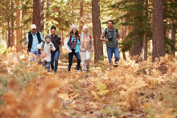 Multi generation family hiking in a forest - Zdjęcie, obraz