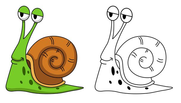Illustration of educational coloring book-snail - Vector, Image