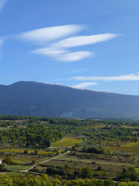 Mont Ventoux, Provence, with autumnal vineyards and trees in the foreground  - Photo, Image
