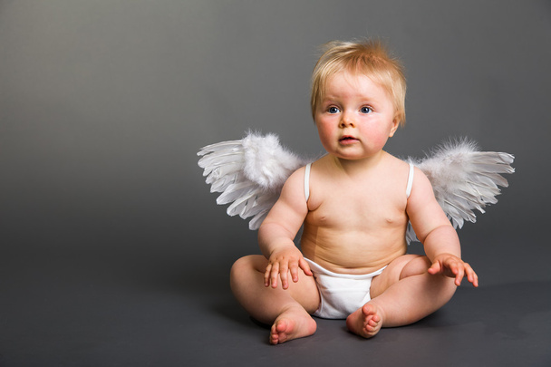 Infant baby with angel wings on neutral background - Valokuva, kuva