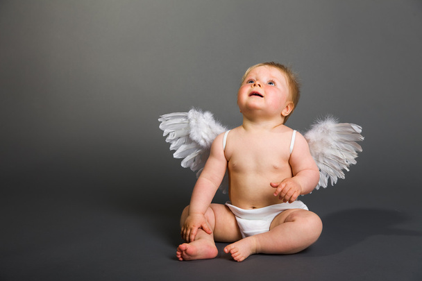 Infant baby with angel wings on neutral background - Valokuva, kuva