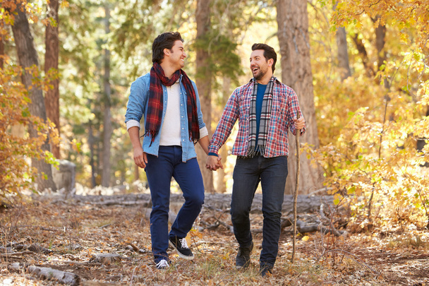 Male Couple Walking Through Woodland - Foto, imagen