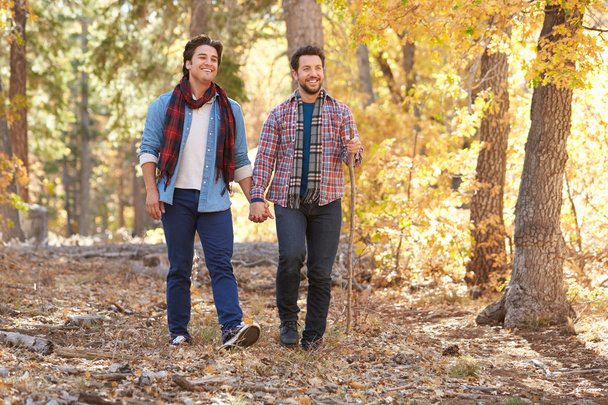 Male Couple Walking Through Woodland - Фото, изображение