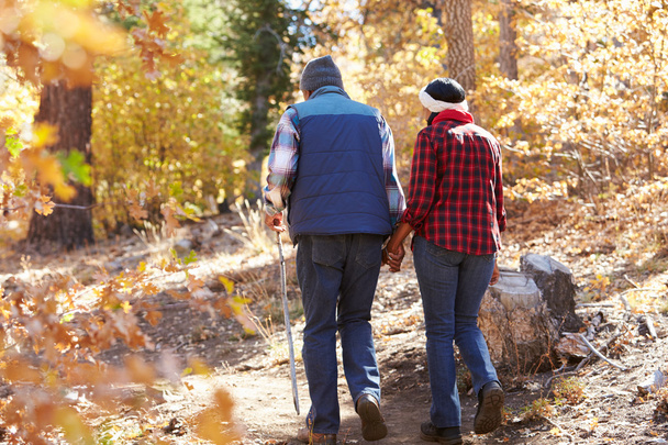 Senior Couple Walking Through Woodland - Fotoğraf, Görsel