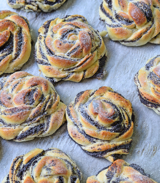 Baked poppy seed buns - Foto, Bild