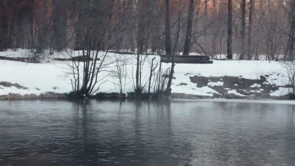 冬の川。霧冬川のパノラマ。冬の背景 - 映像、動画