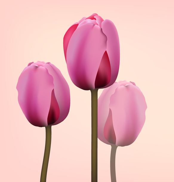 Wektor tulipanów - Wektor, obraz
