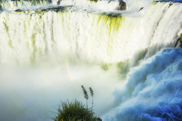 Gros plan sur les chutes d'Iguazu, Argentine
 - Photo, image