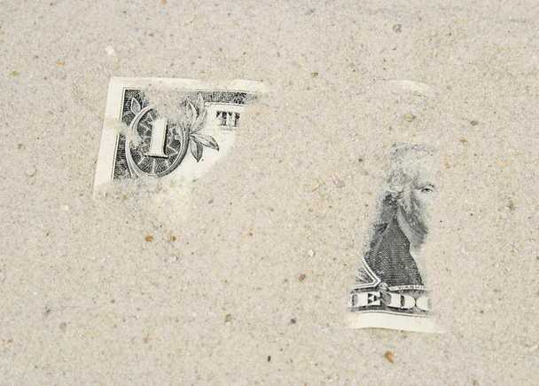 A homok dollár - Fotó, kép
