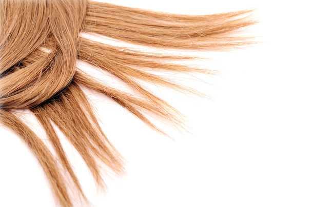 uzun kahverengi saçlı - Fotoğraf, Görsel