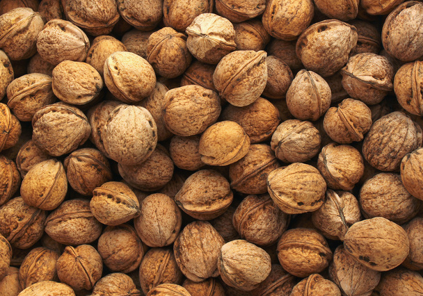 Ripe walnuts background - Photo, Image