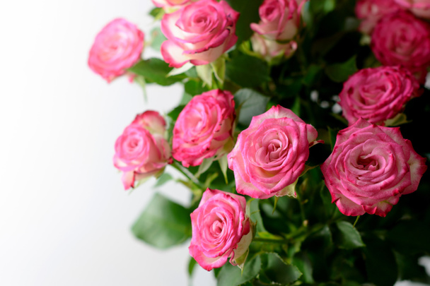 Belles Roses fond
 - Photo, image