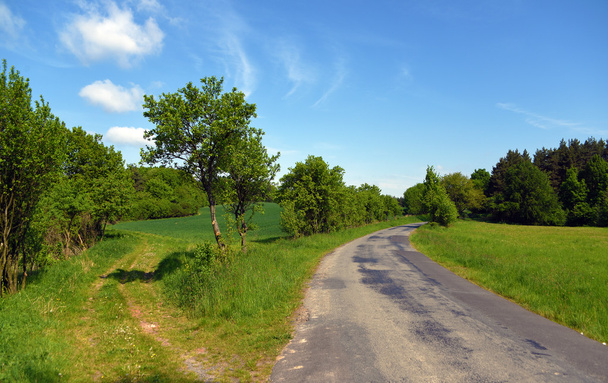 Zielony krajobraz w pobliżu Zamek Kokořín - Zdjęcie, obraz