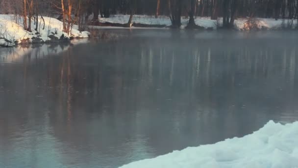 冬公園の川。冬の風景。雪の川の土手でドリフトします。寒い天気 - 映像、動画