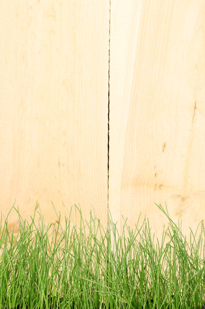 Green grass on wooden background - Fotó, kép