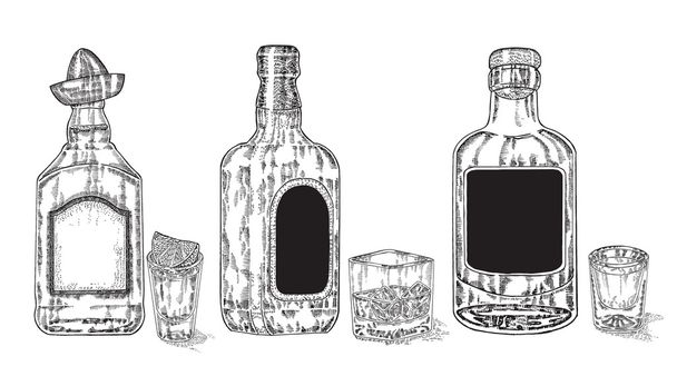 強いアルコールの 3 つのボトル。手描きのウイスキーやテキーラ - ベクター画像