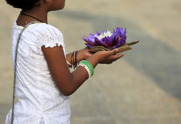 Virág, kezében egy lótusz - Fotó, kép