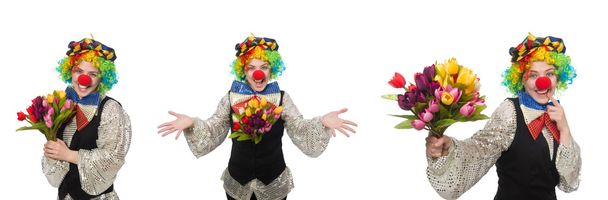 Samičí klaun izolovaný na bílém - Fotografie, Obrázek