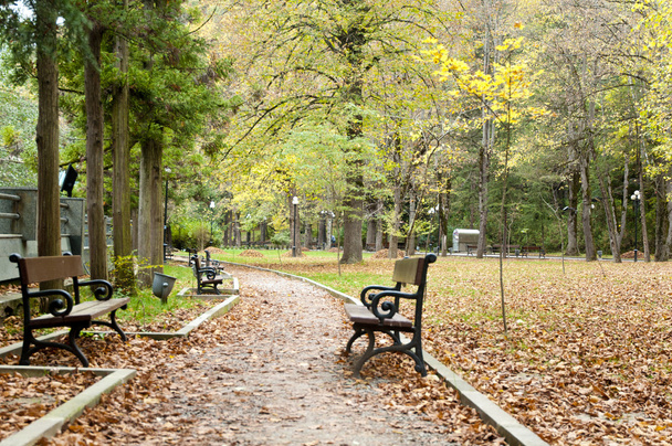 Feuilles et banc d'automne rouge Forêt jaune dans le parc Borjomi Géorgie
 - Photo, image