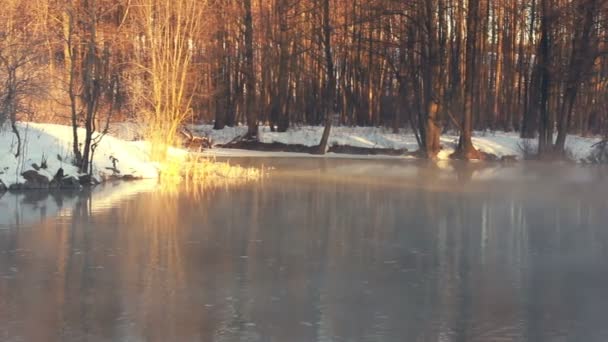 Mist over de rivier van het bos in de winter. Mist over de rivier van de winter. Rivier in winter forest - Video