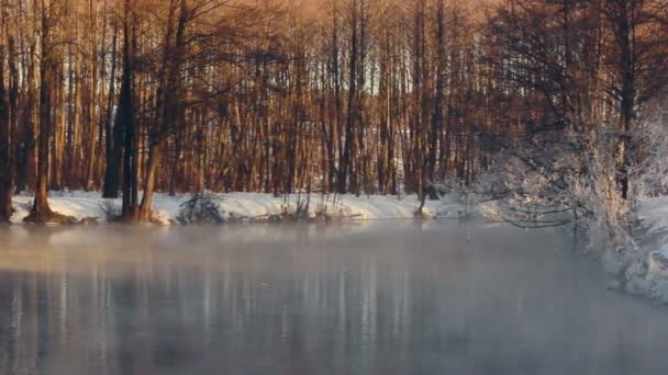 Winterwunderland. Winterlandschaft. Nebel über Waldfluss im Winter - Filmmaterial, Video