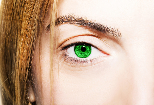 Hermosa mirada perspicaz ojos verdes
 - Foto, imagen