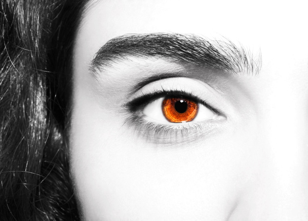 Mooie inzichtelijke blik bruine ogen - Foto, afbeelding