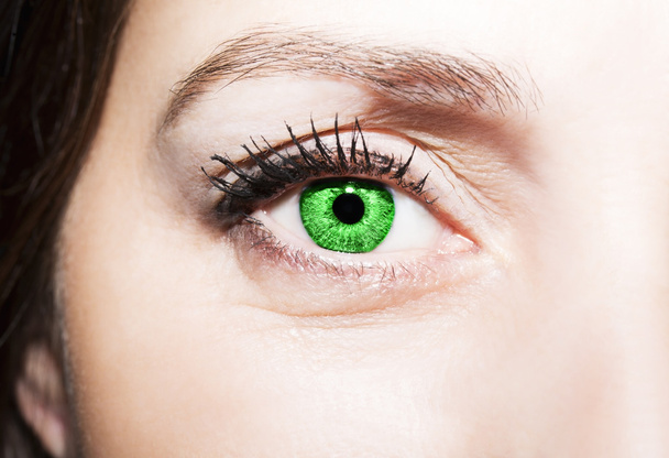 Güzel yorum içeren görünüm yeşil gözleri - Fotoğraf, Görsel