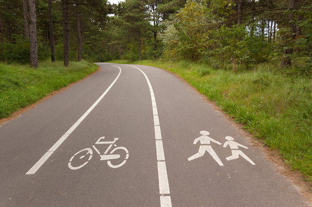 Bicycle and walking lane in forest - Foto, Bild