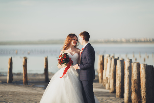 Beautiful young wedding couple, bride and groom posing near wooden poles on the background sea - Fotoğraf, Görsel