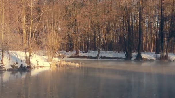 Fluss im Winterwald. Winterbach. nebliger Fluss im Winterwald. Waldbäume - Filmmaterial, Video