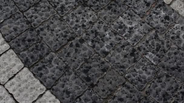 First Drops of Rain on Paving. Beautiful Rain Background - Footage, Video