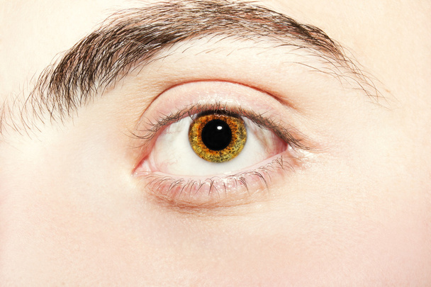 Image of man's brown eye close up. - Foto, Imagen