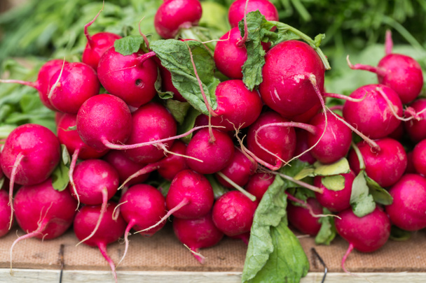 Bright Red Organic Radishes at a Farmers Market - Photo, Image