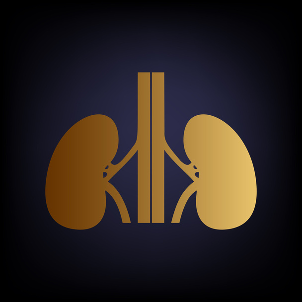 Zeichen menschlicher Nieren - Vektor, Bild