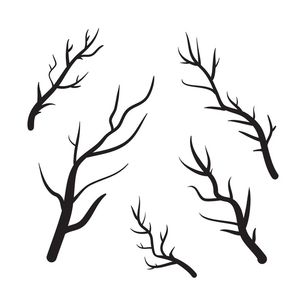 Branches vector hand drawn illustration. Icons on transparent background - Vector, Image