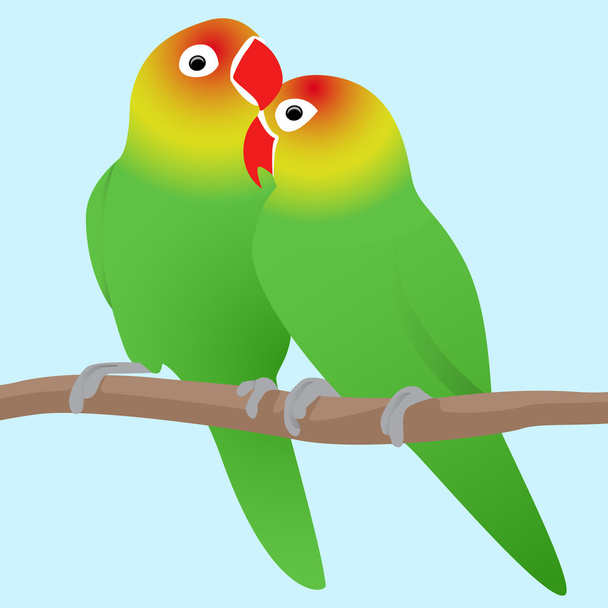 Vector illustration of lovebirds parrots.  - Vektor, obrázek