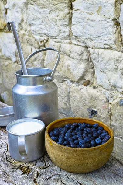 Breakfast on farm -  fresh organic cowmilk and blueberry - Foto, imagen