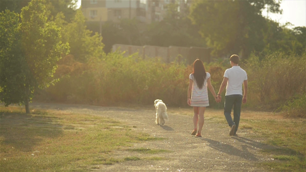 Hermosa pareja joven y romántica paseando con un perro en el parque
 - Metraje, vídeo