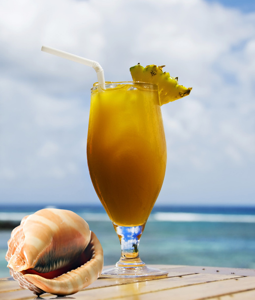 Cocktail di frutta tropicale e conchiglia con oceano sullo sfondo
 - Foto, immagini