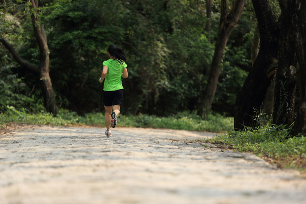 woman trail runner - 写真・画像