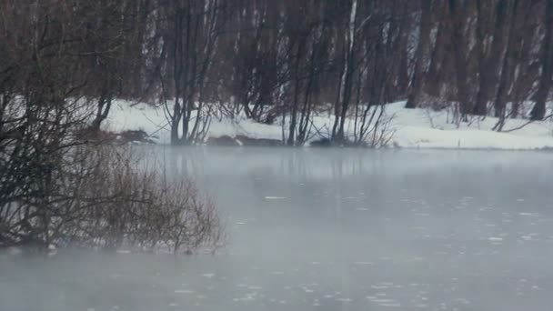 Waldfluss im Winter. Kaltes Wetter. verschneites Flussufer. Nebel über dem Fluss - Filmmaterial, Video