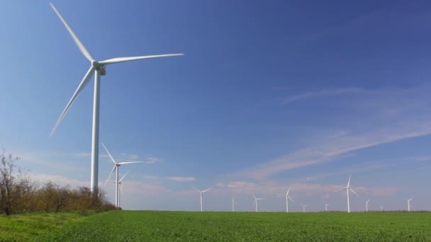 Tuuliturbiinit sinistä taivasta vasten - Materiaali, video