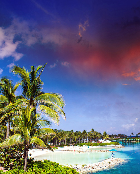 Облачное небо над растительностью Нассау, Багамские острова
 - Фото, изображение