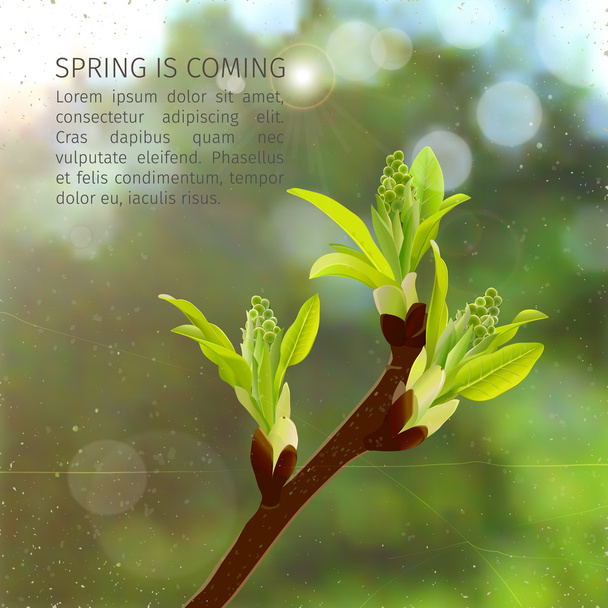 mladé jarní listí - Vektor, obrázek