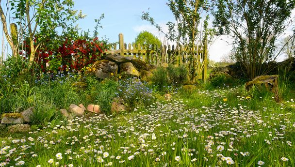 Садова ідилія з квітучими квітами
 - Фото, зображення
