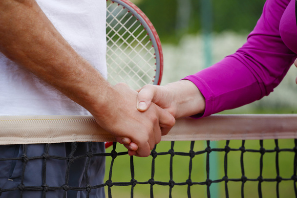 couple shaking hands at the net  - Фото, изображение