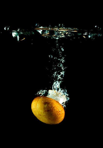 Mushroom in water - Foto, Imagen