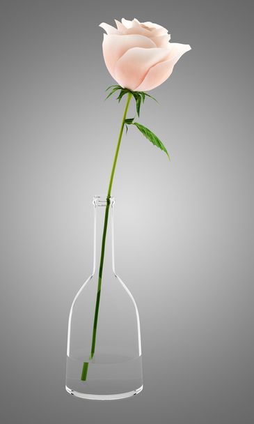 розовая роза в стеклянной вазе изолированы на сером фоне
 - Фото, изображение