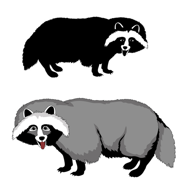 raccoon dog black silhouette pet realistic vector illustration - Vector, Image
